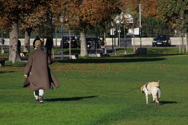 Wie kann man die Gesundheit von Katzen langfristig sichern?