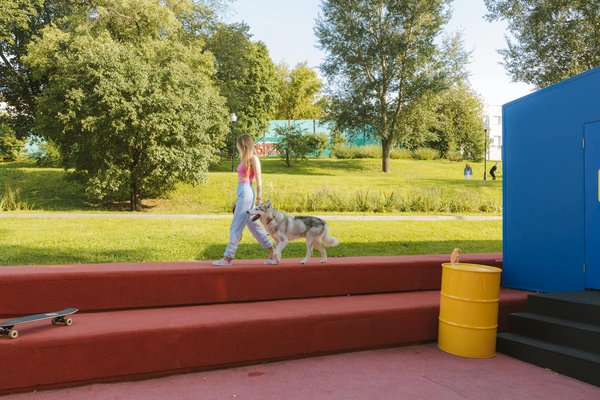 Wie beeinflusst das Sozialverhalten von Tieren ihre Ãœberlebenschancen?